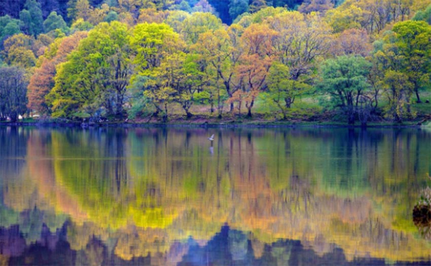 1649337466358176.jpg 艾木傳媒風(fēng)景攝影