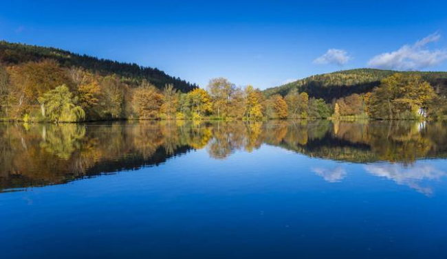 1651315561142805.png 55.png